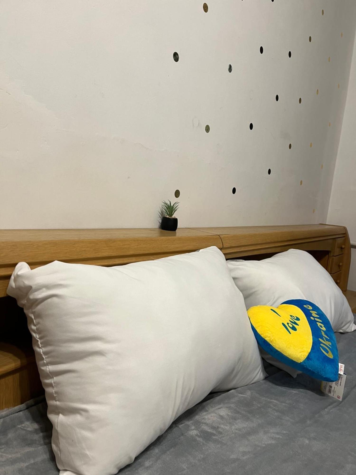 Ararat-Klovskaya Hostel-Apartments Kiev Dış mekan fotoğraf